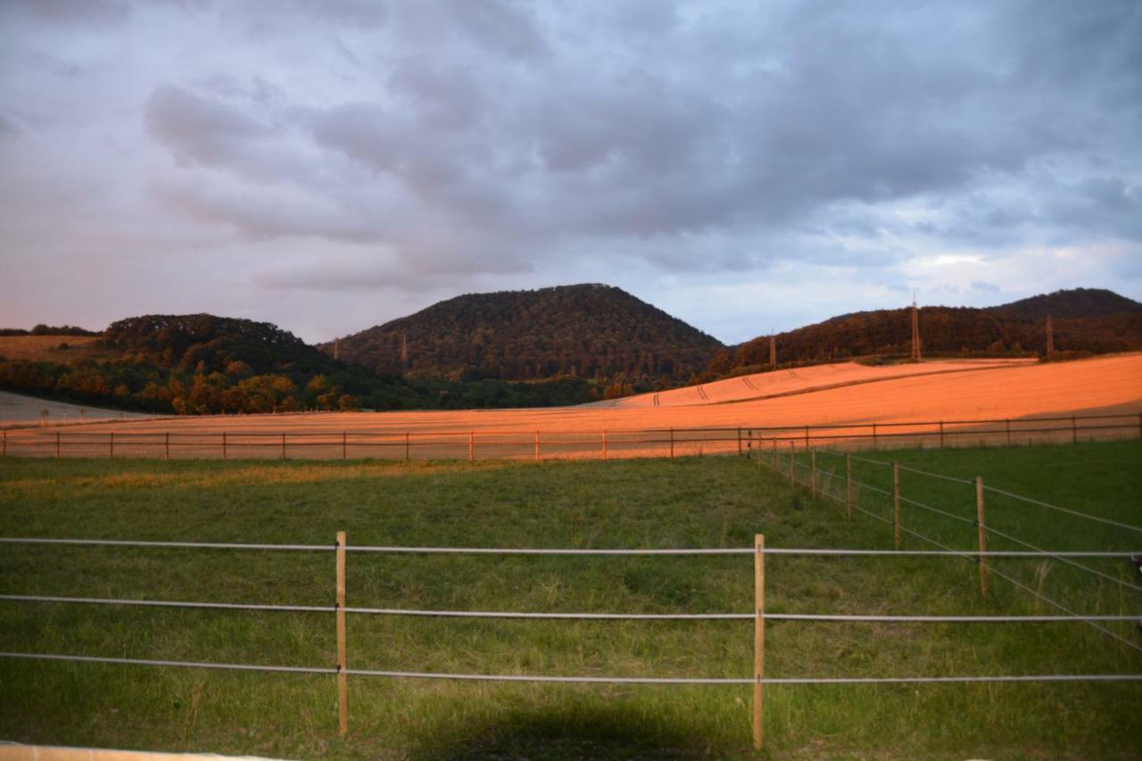 Affittacamere Sieben-Berge-Haus Bruggen  Esterno foto